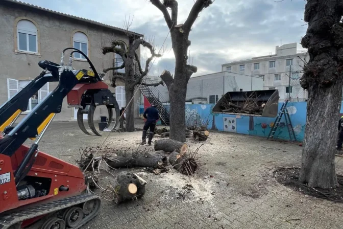 Suppression d’un marronnier