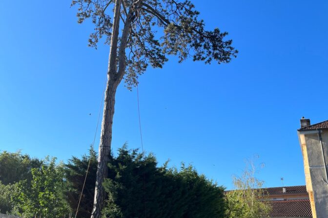 Démontage d’un pin en rétention à Montmerle-sur-Saône (01)