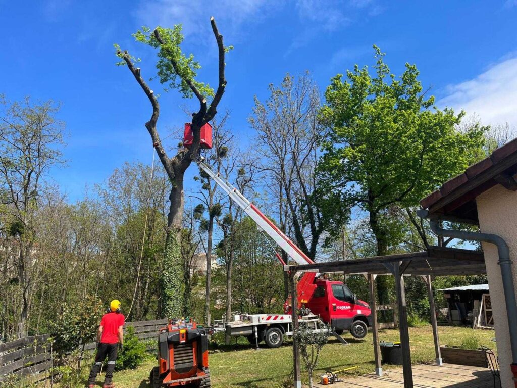 Démontage en rétention d'un chêne cassé par une tempête, depuis une nacelle, dans le Rhône